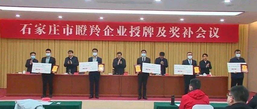 喜報丨為信電子榮獲石家莊市瞪羚企業稱號